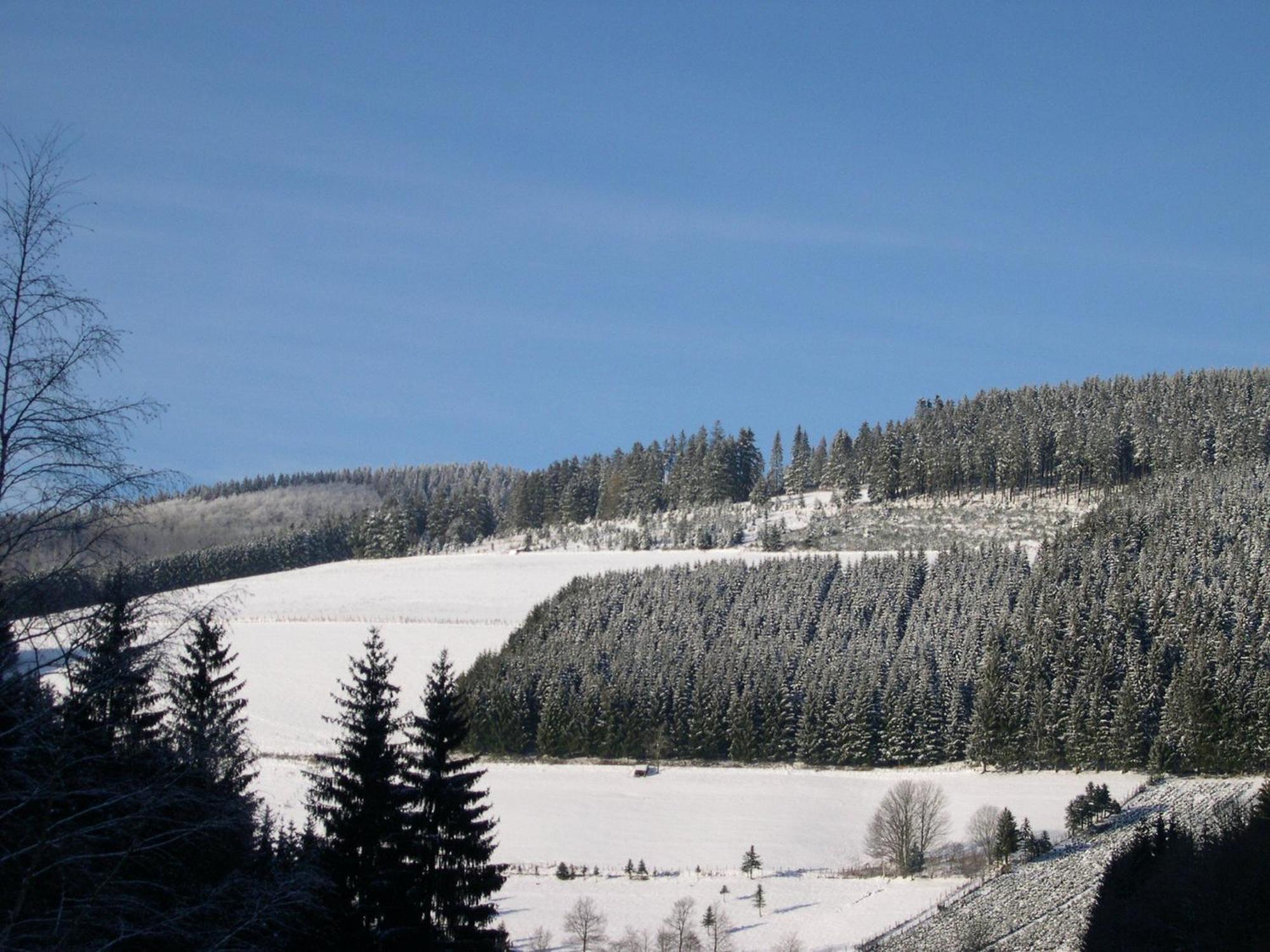 Apartamento Haus Wald-Eck Schmallenberg Exterior foto