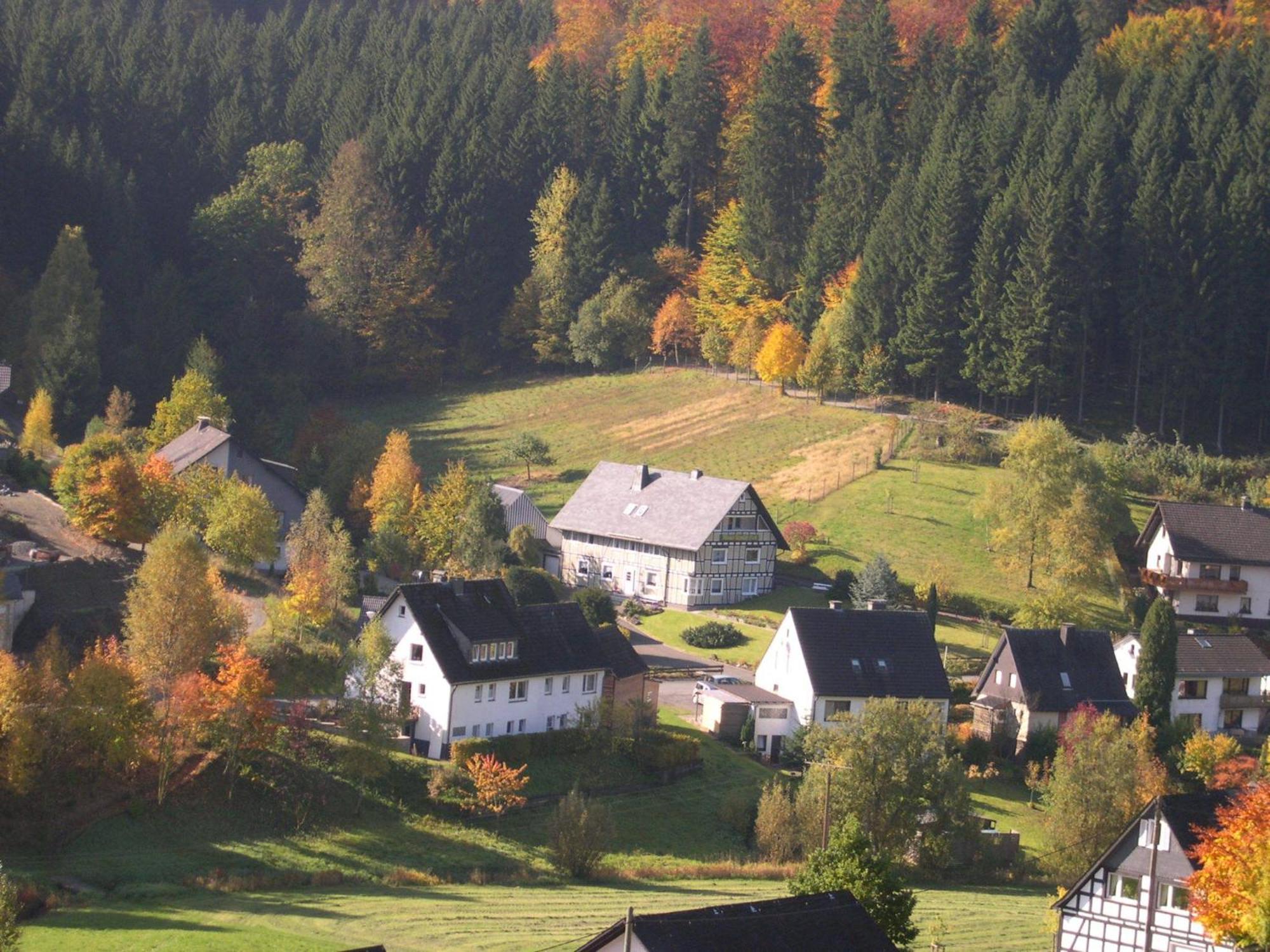 Apartamento Haus Wald-Eck Schmallenberg Exterior foto