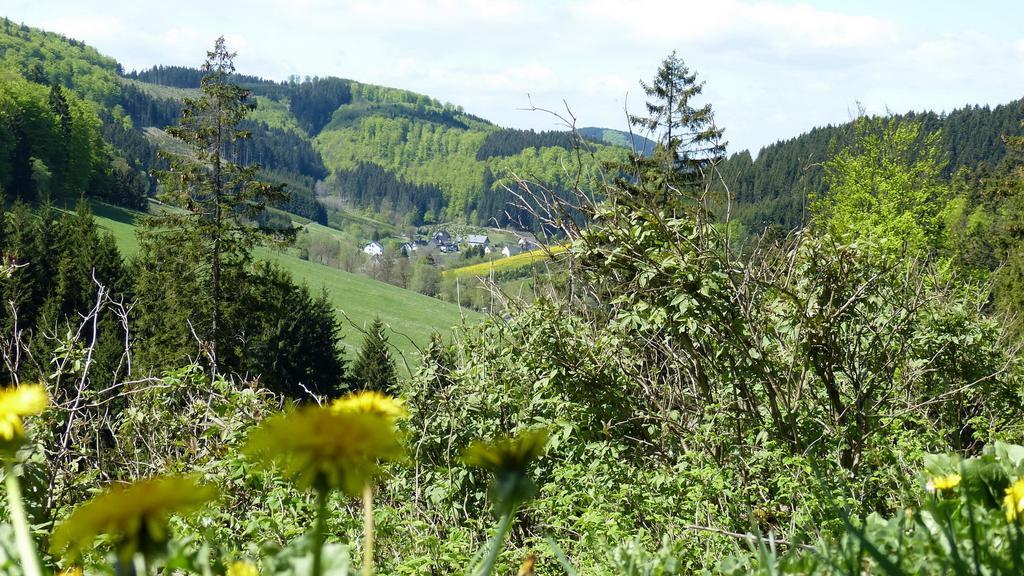 Apartamento Haus Wald-Eck Schmallenberg Exterior foto