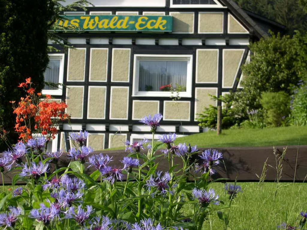 Apartamento Haus Wald-Eck Schmallenberg Exterior foto