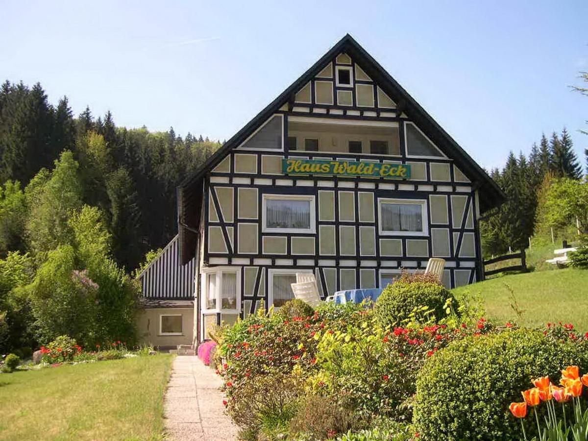 Apartamento Haus Wald-Eck Schmallenberg Exterior foto