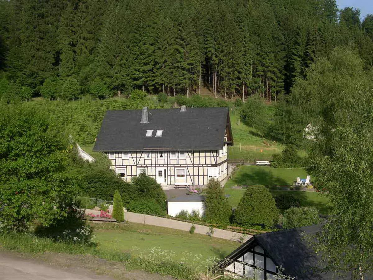 Apartamento Haus Wald-Eck Schmallenberg Exterior foto